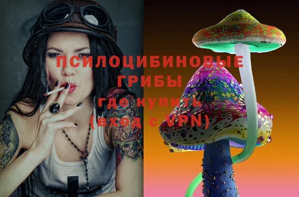 mdma Краснослободск