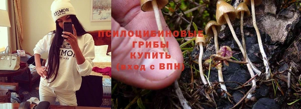 спиды Кулебаки