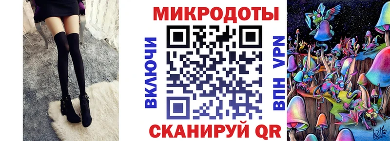 Купить  Городец  Псилоцибиновые грибы Psilocybe 